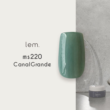 lem. ms220 - Canal Grande